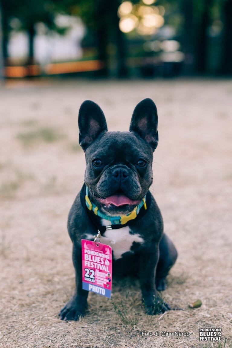 2022 day 4 venerdì 65 staff