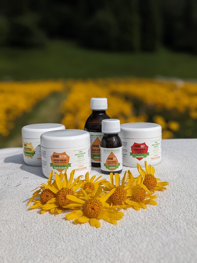 arnica fiori e prodotti