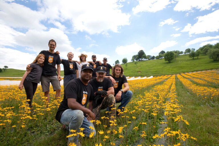 arnica staff piancavallo 1