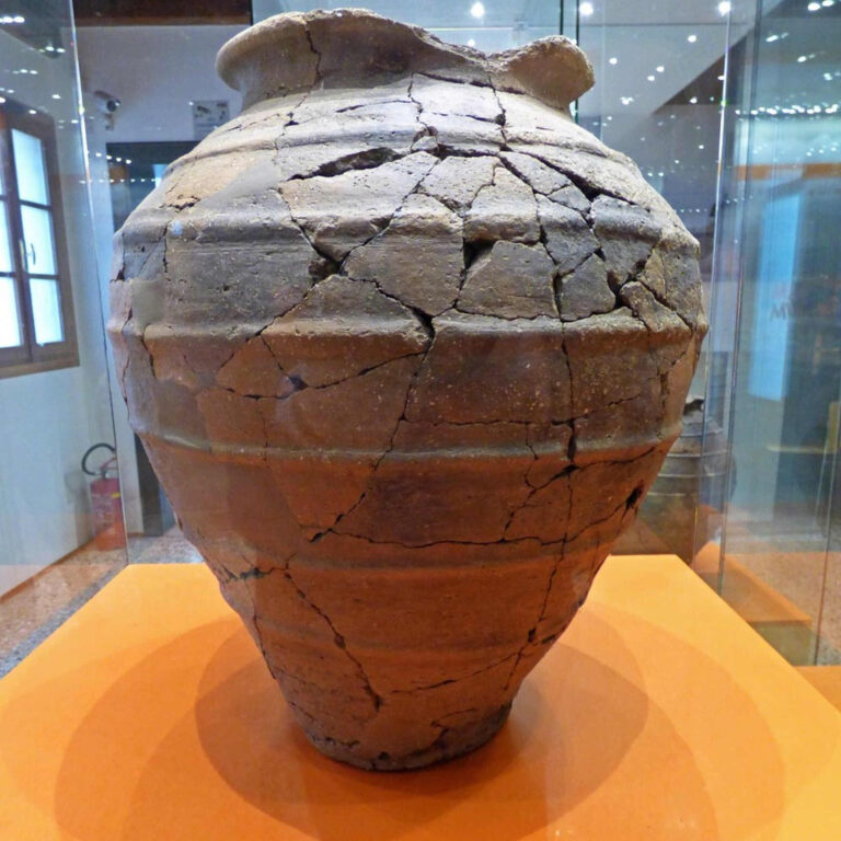 museo archeologico a palazzo toffoli 2